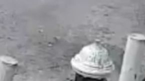 Imágenes del sospechoso