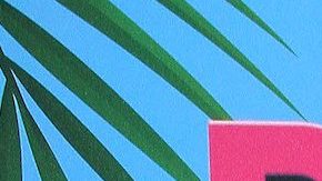 Omar Chaparro y 'La Mojarrita'