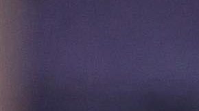 Patricia Manterola y su movimiento de "colita".