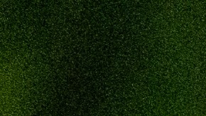 Al menos 50 personas han sido arrestadas en las primeras jornadas de protestas post electorales en la ciudad de Nueva York.