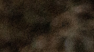 Actualmente en la ciudad se están hacienda 75,000 tests diarios de coronavirus.