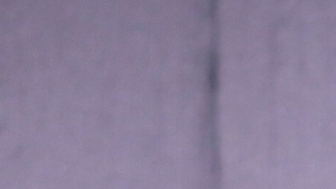 Demian Bichir