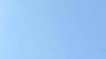 Más de 12 organizaciones en el Bajo Manhattan demandaron este lunes acelerar alivios migratorios.