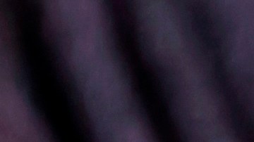 Elecciones 2020 EEUU