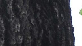 La imagen ha causado conmoción entre los fieles seguidores de Maradona.