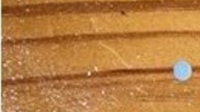 Más de 4,000 armas provenientes de otros estados han sido rastreadas en NY en el último año.