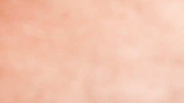 Maggie es la menor de 14 hermanos hombres.