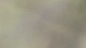 Mujeres Congreso Elecciones 2020