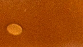 Viajeros que entren a Los Ángeles por placer, deben aceptar cuarentena.