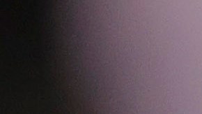 Elecciones 2020 EEUU