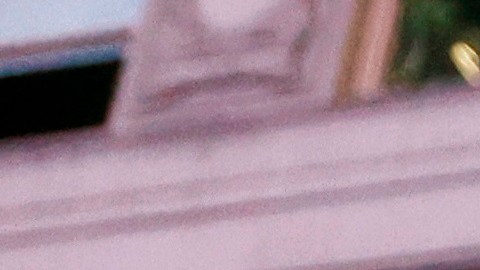 Sendas celebraciones se dieron en la ciudad y a través del estado tras declararse la victoria de la fórmula Joe Biden-Kamala Harris.