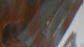 En este día, varias empresas darán este producto de manera gratuita.