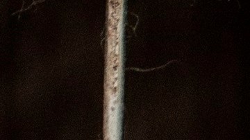 Dinamarca produce piel de visón.