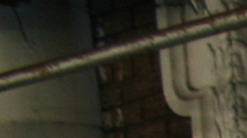 Como es tradición en Harlem diferentes coaliciones han donado miles de pavos congelados a familias vulnerables.