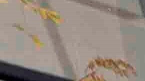 Elecciones 2020 Pennsylvania