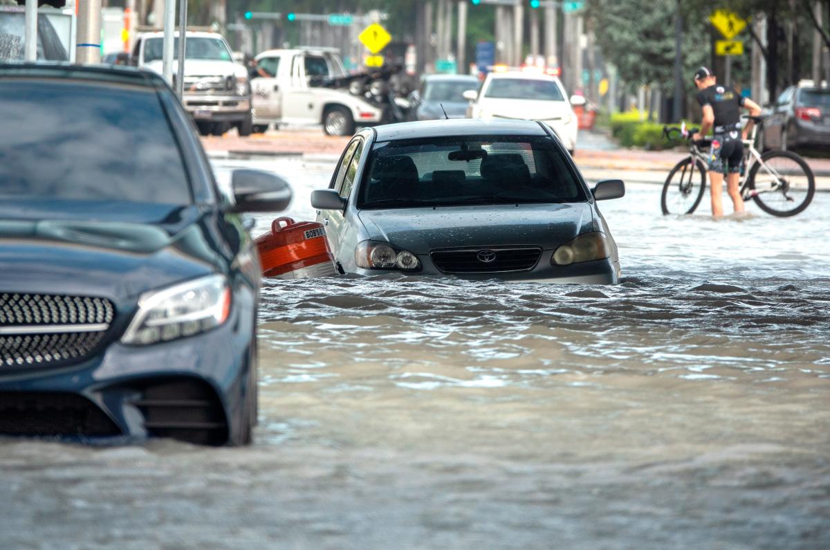 La tormenta tropical Eta vuelve a tocar tierra en Florida con lluvias  torrenciales e inundaciones - El Diario NY