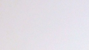 Florida se convierte en el octavo estado en aprobar un salario mínimo de $15 dólares la hora.