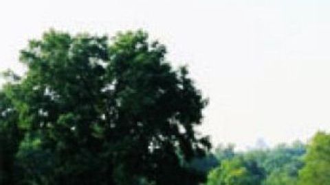 Campo de golf en El Bronx, NYC.