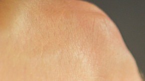 Costco tiene una gran variedad de pasta, pero sus precios no suelen ser los mejores.