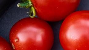 verduras