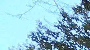 Los trabajadores de restaurantes demandan un sueldo mínimo íntegro./Cortesía