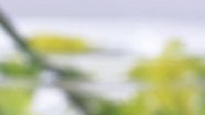 Evita trabajar demasiado el puré o quedará una pasta pegajosa.