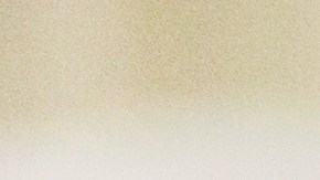 La mujer usó el dinero para darse una vida de lujos y riquezas.