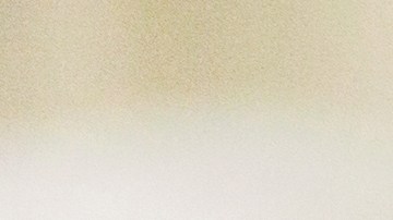 La mujer usó el dinero para darse una vida de lujos y riquezas.