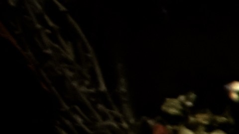 Una pareja que buscaba tener un hijo habría cometido el crimen.