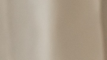 Los ladrones no se dieron cuenta que estaban siendo vistos.