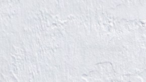 Los dos hombres se enfrascaron en una persecución que se volvió viral.