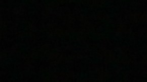 La niñera dijo desconocer que la familia no comía carne.