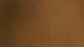 La discusión le provocó un fuerte shock a la empleada.