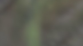 El hombre esperó horas afuera de su casa hasta que un vecino le ayudó.