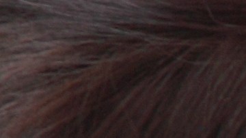 Las chicas se enfrascaron en tremenda pelea.