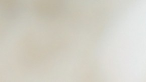 El hombre cree que es un gran obsequio para la crianza de su nieto.