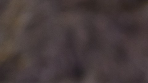 Pensó que llevaba una serpiente en el cuello, pero era algo peor.