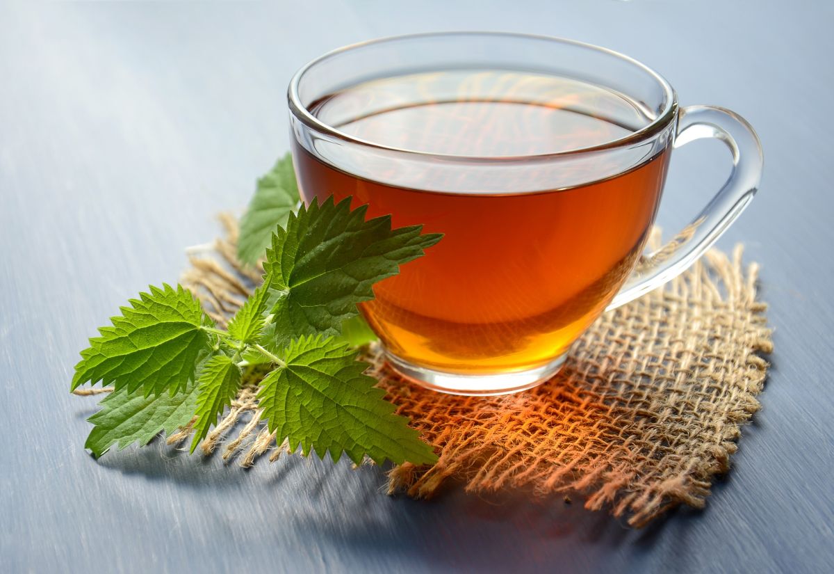 Scientific study supports the benefits of nettle, to block fat and lose weight