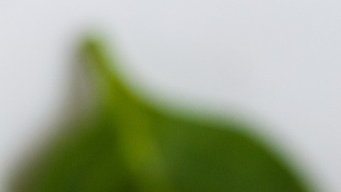 Jugo verde