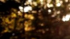 A la mayoría de nosotros nos cuesta encontrar palabras de consuelo para los padres que sufren una pérdida.