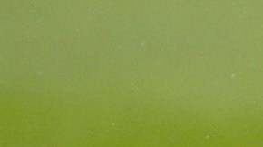 Vinicius Junior provocó un autogol del guardameta Yassine Bono, el que le dio el triunfo al equipo.