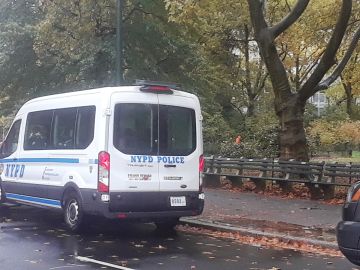 NYPD en Central Park