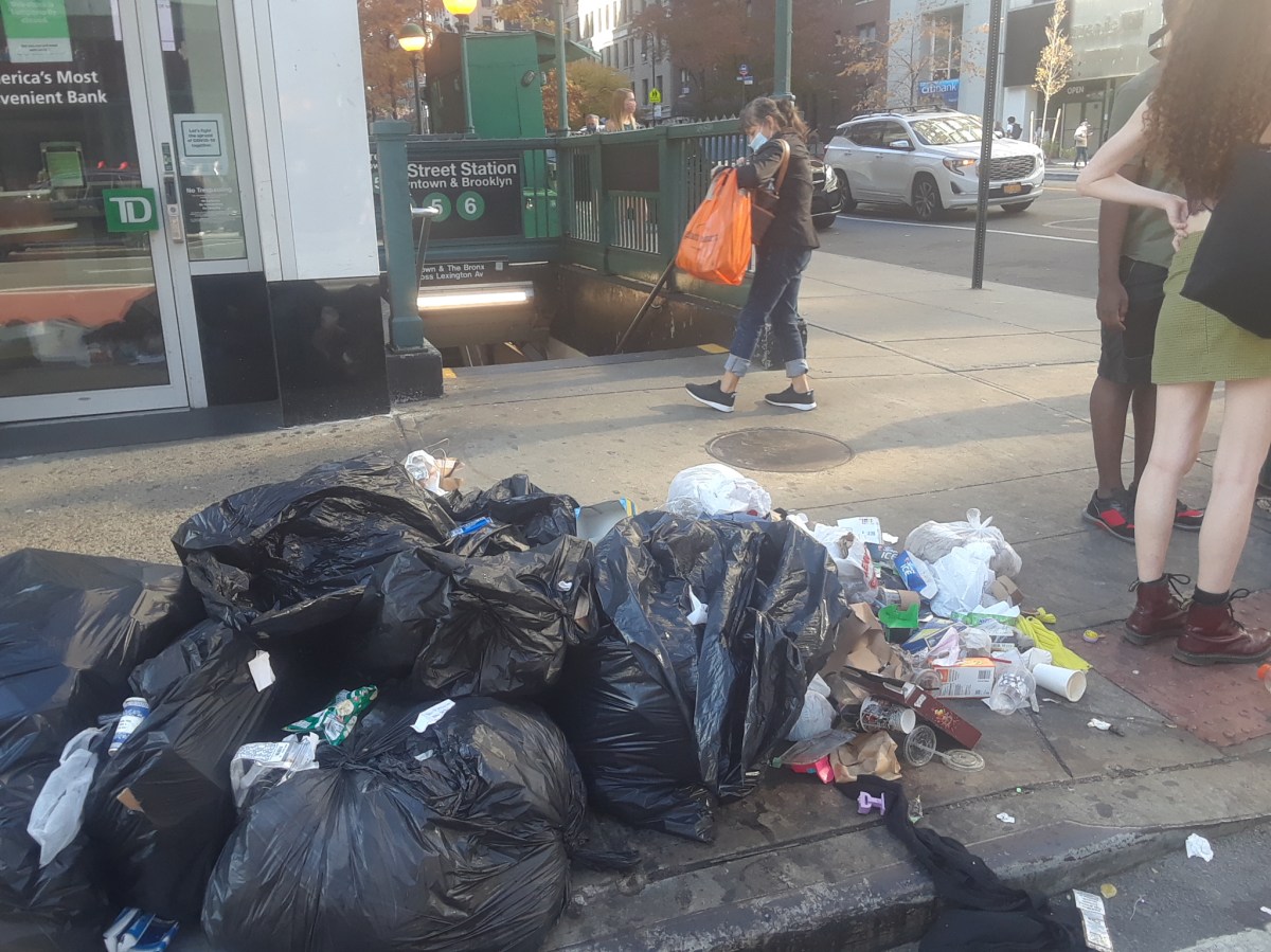 Hasta $2,000 dólares pagarán a quienes denuncien vertidos ilegales de basura en Nueva York