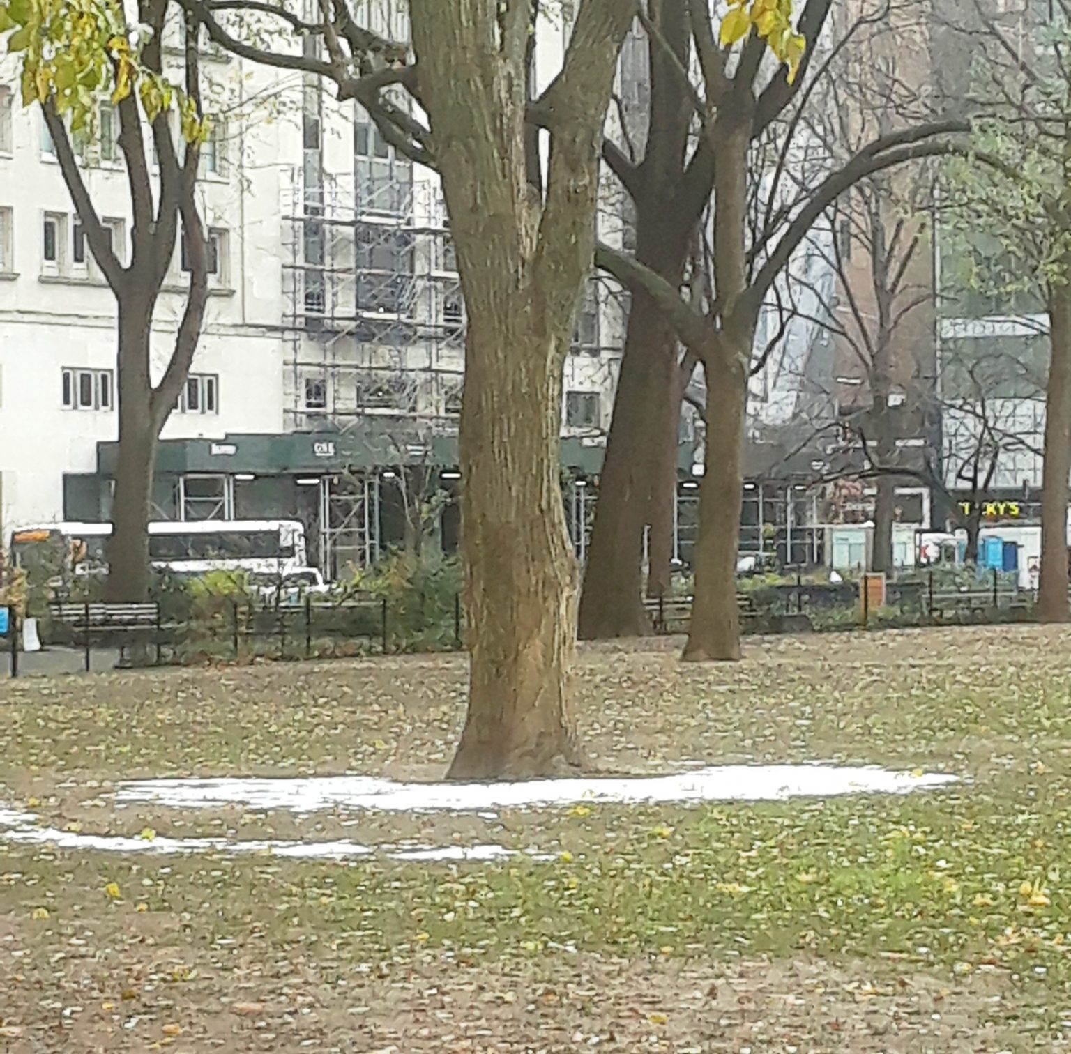 nevada Madison Square Park