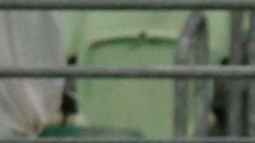 Delfín cayó 5-0 ante Palmeiras.