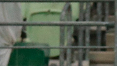 Delfín cayó 5-0 ante Palmeiras.