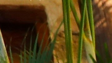 Lo ideal es que las reuniones se hagan en espacios abiertos.