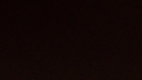 Steny Hoyer Camara de Representantes