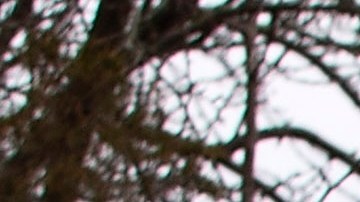 Vacuna coronavirus Moderna