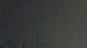 Un manto blanco cubrió a NYC con la tormenta.